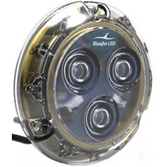 Bluefin LED Piranha P12