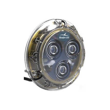 Bluefin LED Piranha P12