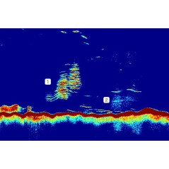 CP470 modulo sonar CHIRP 1Kw - 2