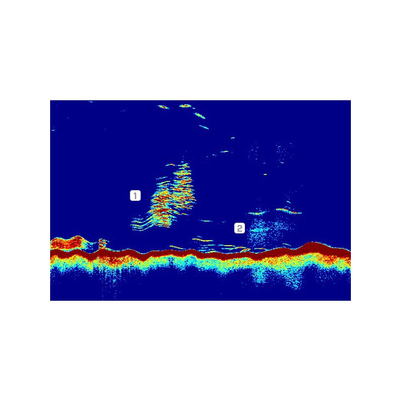 CP470 modulo sonar CHIRP 1Kw - 2