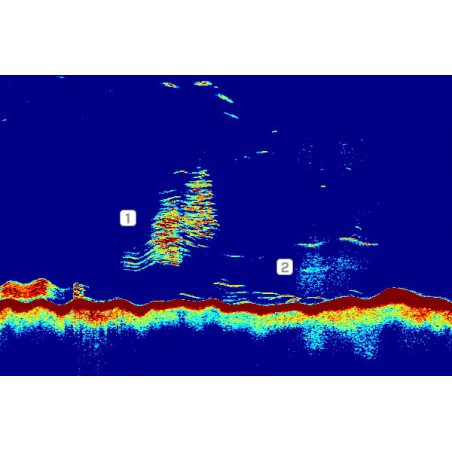 CP470 modulo sonar CHIRP 1Kw - 2