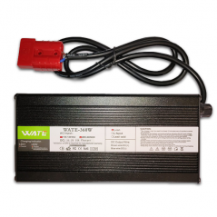 Caricabatteria per Energy Research Batteria Litio 36 Vdc 100 Ah BT