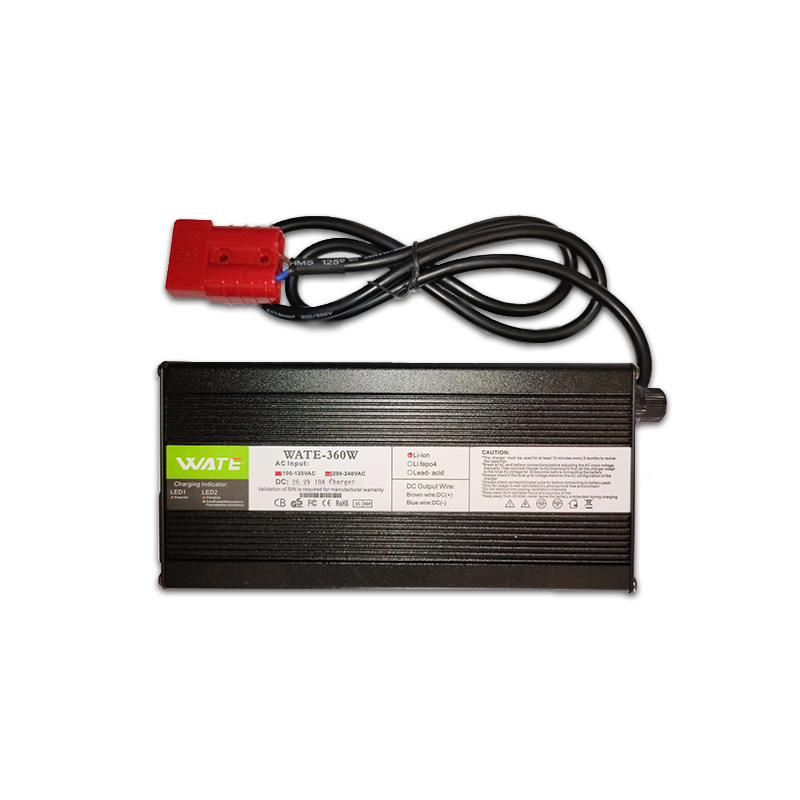 Caricabatteria per Energy Research Batteria Litio 36 Vdc 100 Ah BT