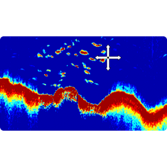 CP370 modulo sonar digitale 50/200Khz 1Kw - 2