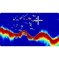 CP370 modulo sonar digitale 50/200Khz 1Kw - 1 2