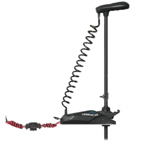 Haswing Cayman B 110lbs/72" - 1