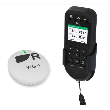 Raymarine RCU-1 + WG-1
