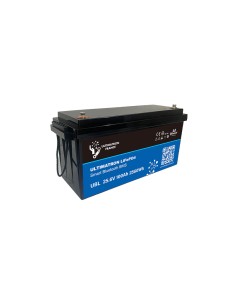 Batteria Litio Ultimatron 25,6V 100Ah LiFePO4 Bluetooth