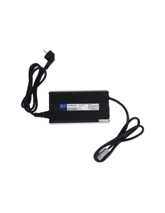 Ultimatron Caricabatterie LiFePO4 43,8V 20A