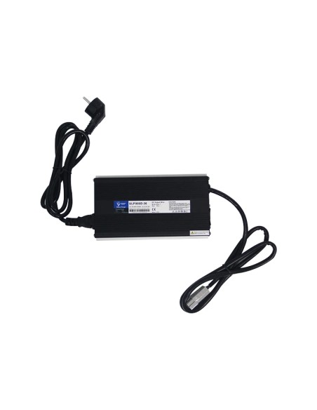 Ultimatron Caricabatterie LiFePO4 43,8V 20A