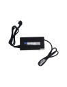 Ultimatron Caricabatterie LiFePO4 43,8V 20A