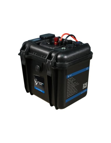 Ultimatron 25,6V 50Ah LiFePO4 Valigia Bluetooth