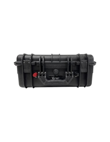 Ultimatron 38,4V 100Ah LiFePO4 Valigia Bluetooth