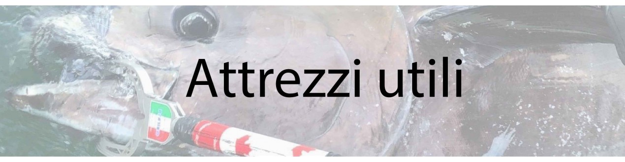 Attrezzi utili