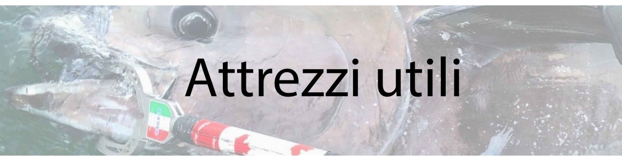 Attrezzi utili