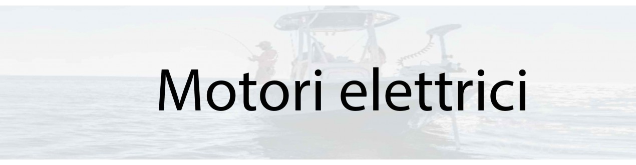 Motori elettrici