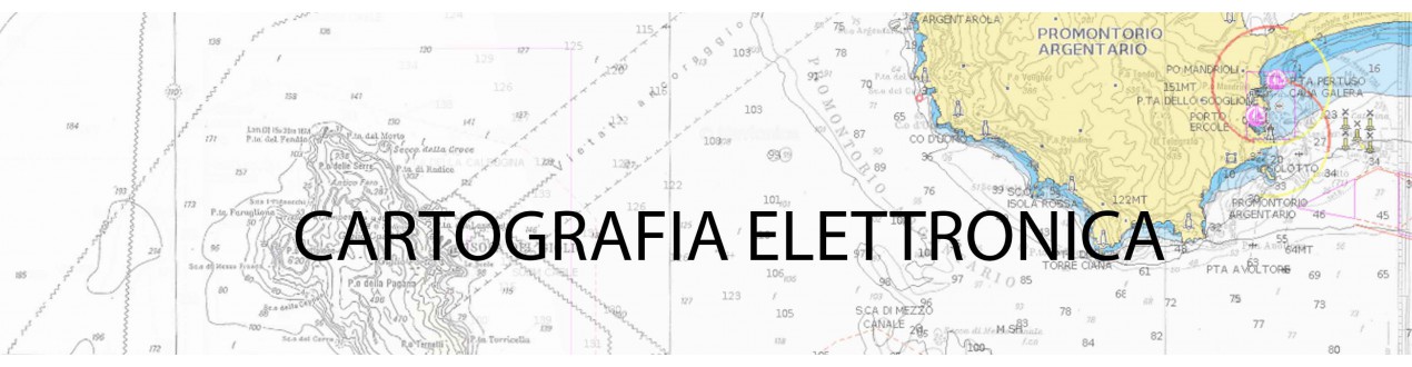 Cartografia Elettronica