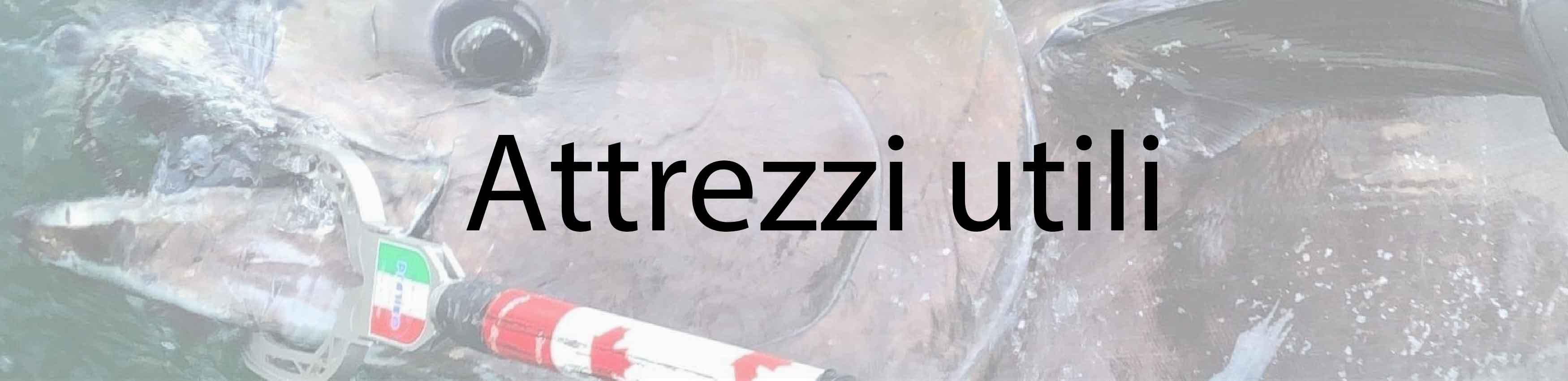 Attrezzi utili