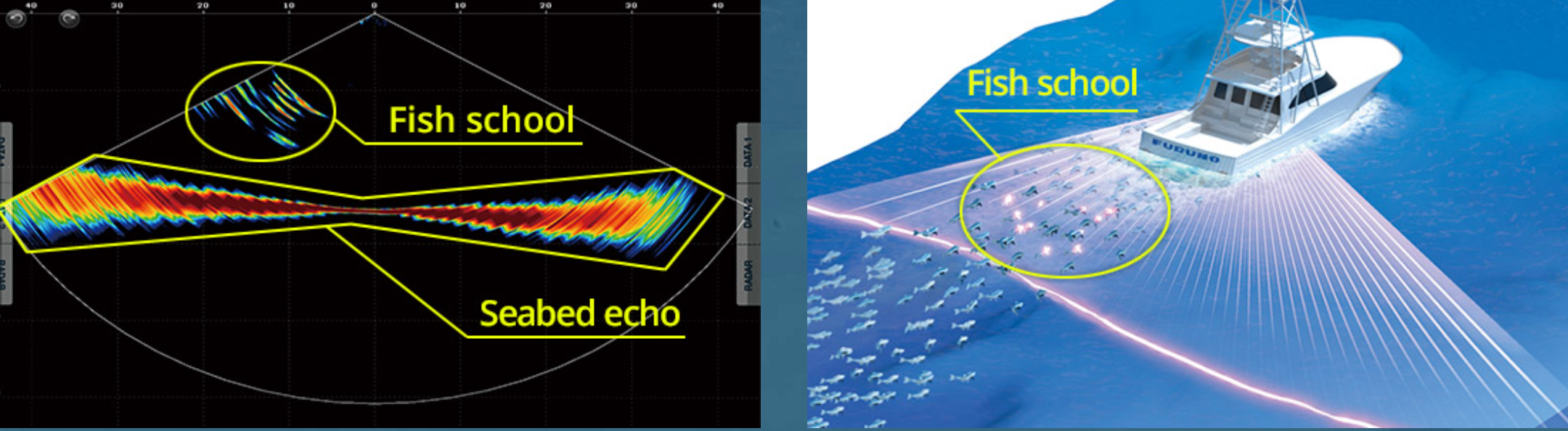 Schema ecoscandaglio multibeam